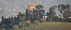 territorio