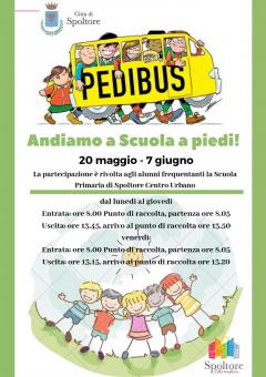 Pedibus
