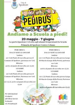 pedibus_bis